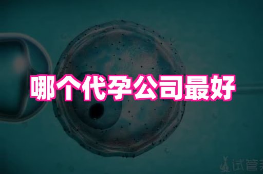 123试管孕网 4